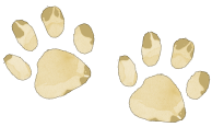 Loba The Leopard Paw Prints - Squish