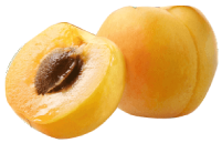 Yummy Yellow Peaches - Squish